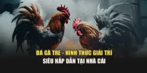 Đá Gà Tre - Hình Thức Giải Trí Siêu Hấp Dẫn Tại Nhà Cái