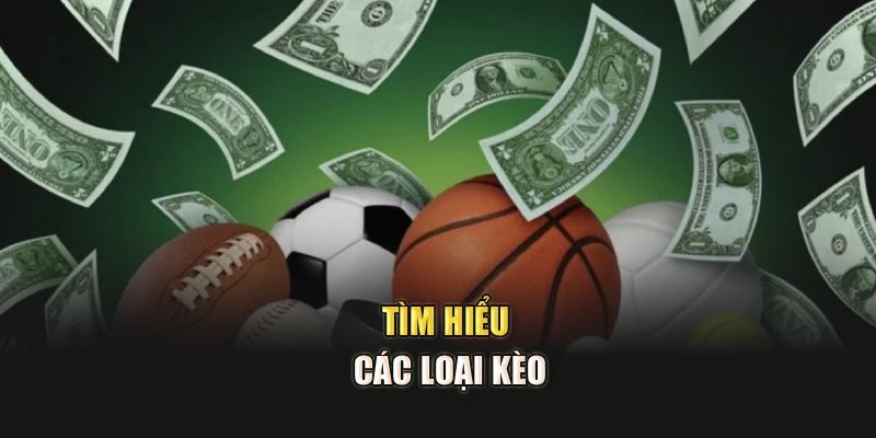 Tìm hiểu các loại kèo
